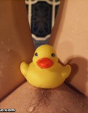 Ducks_And_Daises